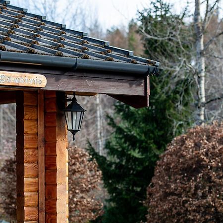 Loch Insh Chalets Ltd Kincraig Zewnętrze zdjęcie
