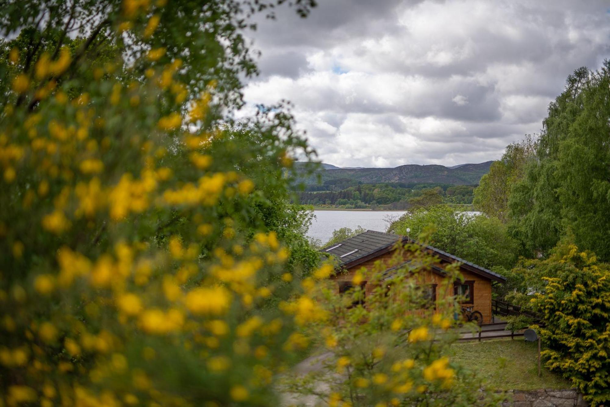Loch Insh Chalets Ltd Kincraig Zewnętrze zdjęcie
